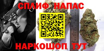 индика Анапа