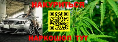 индика Анапа